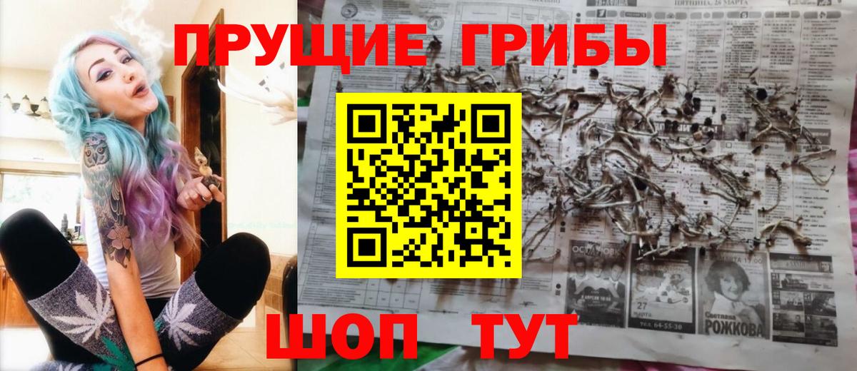Псилоцибиновые грибы ЛСД  где продают   Черногорск  Вход с VPN 